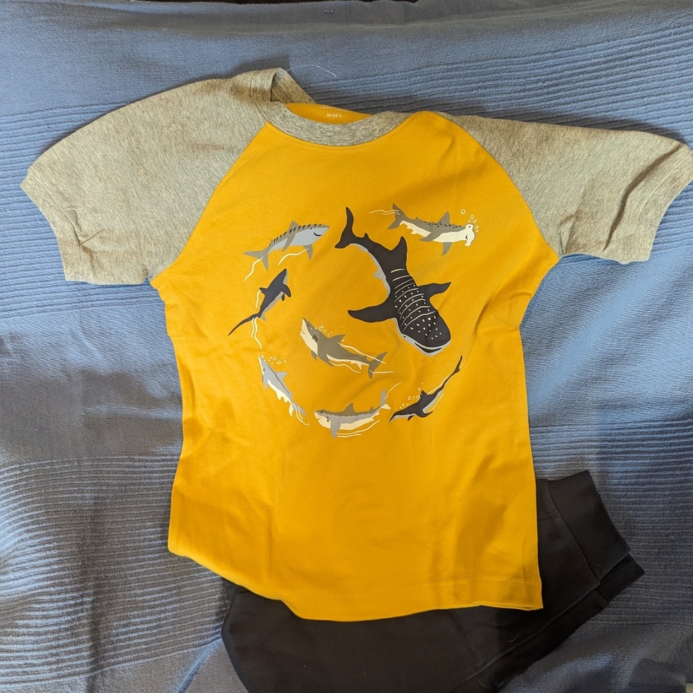 Size 10/12 Pekkle Shirt and Pants Pajama set Boys